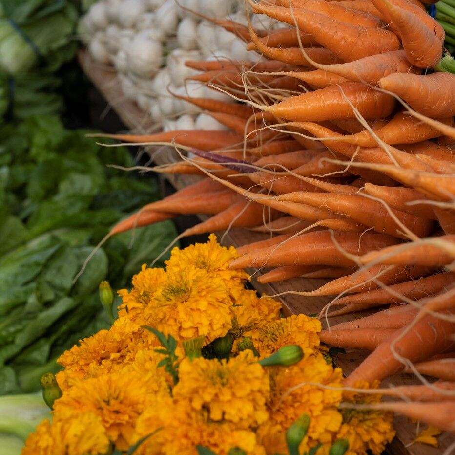 Carrots from Fox Briar Farm HLFM (copy) (copy)